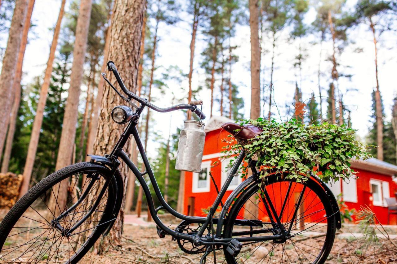 Waldhaus Emma Villa Suderburg Bagian luar foto