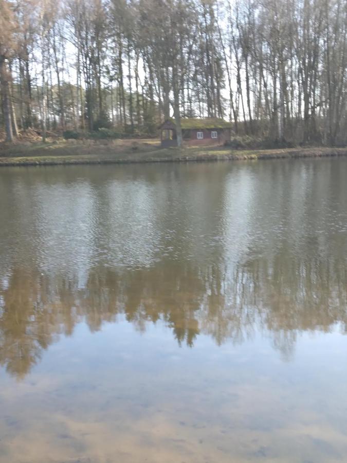 Waldhaus Emma Villa Suderburg Bagian luar foto
